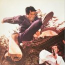 ㈜우드사이로 이미지