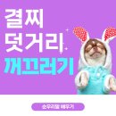 결찌 이미지