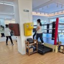 신은철복싱월드 이미지