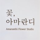 아마란디 이미지