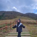 선들농장(2) | 울산 간월재 쉬운코스(사슴농장), 주차, 갈대,단풍 상황