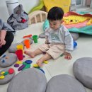 행복한 꼬마 거북이 이미지