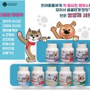 지오펫 네이버블로그