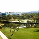 테디벨리 이미지