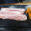 돋보이 개 이미지