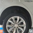 애니카랜드 서울대점 이미지