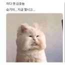 군산생곱창 이미지