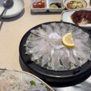 미스터한 | 쌍문역 맛집 미스터빽실장, 탱글한 오징어회 먹고 온 후기
