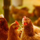 화계유치원 | 종로구요양원 행복한노인요양원 실재후기