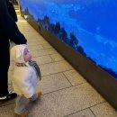 이촌삼계탕 | 11월, 가을은 찰나