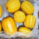 브리지팜 이미지