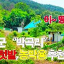 다사농장 이미지