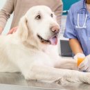 위너스 동물병원 이미지