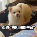 수원-0454 네이버블로그