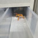 와우펫앤쥬 - 달서구 달구벌대로 1229 | 와우펫앤쥬