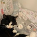 몽글몽글 이미지