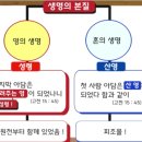 생명의 본질 겉사람과 속사람-영과 혼과 육의 생명, 하늘과 땅에서 난 두 부류의 육신 육체의 비밀. 고린도후서 4장 16절 이미지