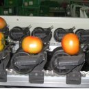 원리영농조합 이미지