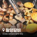 부산갈비 | 부산 초량 맛집 밀양갈비 내돈내산 후기, 돼지갈비골목 추천