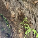 _나루터로2-7_ 이미지