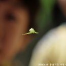 동심 어린이집 이미지