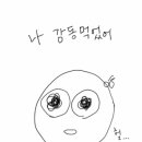 일광주짓수아카데미 이미지