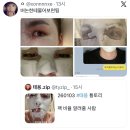 하모니카(1년) | 1(1)나이 반납할게요 환불해주세요 깔끔하게 사용했어요 기스 없구요 2026