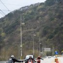 금화정 막국수 이미지