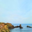 노랑제주 이미지