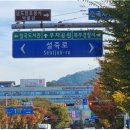 설죽로 남도일보