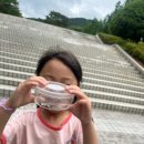 성모성심유치원 이미지