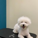 순독살롱 이미지