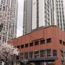 오땡큐 천연머리염색 | 부산 퍼스널컬러 킨다유니크ㅣ웨딩염색 매트브라운 후기