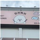 오키독키 | 이천애견미용 내 반려견의 기분을 알아주는 오키독키 후기