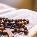 성현동-26 이미지