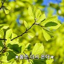 188 영화공지 항거 유관순이야기 이미지