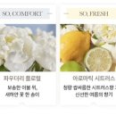 수.희호프