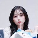 마이향 이미지