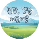 지촌천 | 강원도 화천 가볼만한곳 계곡 산책길 곡운구곡 제3곡 신녀협