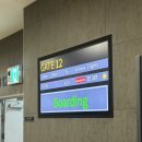 상봉Sea(바다)마트 | [제주] 2026 제주도 2박 3일 여름 바다여행(1): 이것저것 다 하고팠던 하루 (ft. 소노벨 제주 후기)