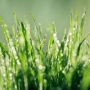 아버지와 자전거 이미지