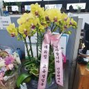 동광주간호학원