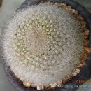 종명농장 이미지