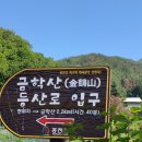 홍천 金鶴山 이미지