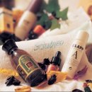 라벤더스파 이미지