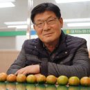 하이토마토