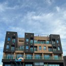 제주도게스트하우스파티 사교장 | [제주] 혼자도 문제없는 - 제주도게스트하우스파티 사교장 공항점