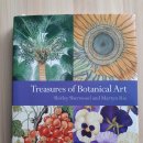 보태니컬 아트 이미지