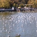 운남공원 이미지