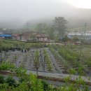 돌당구클럽 이미지